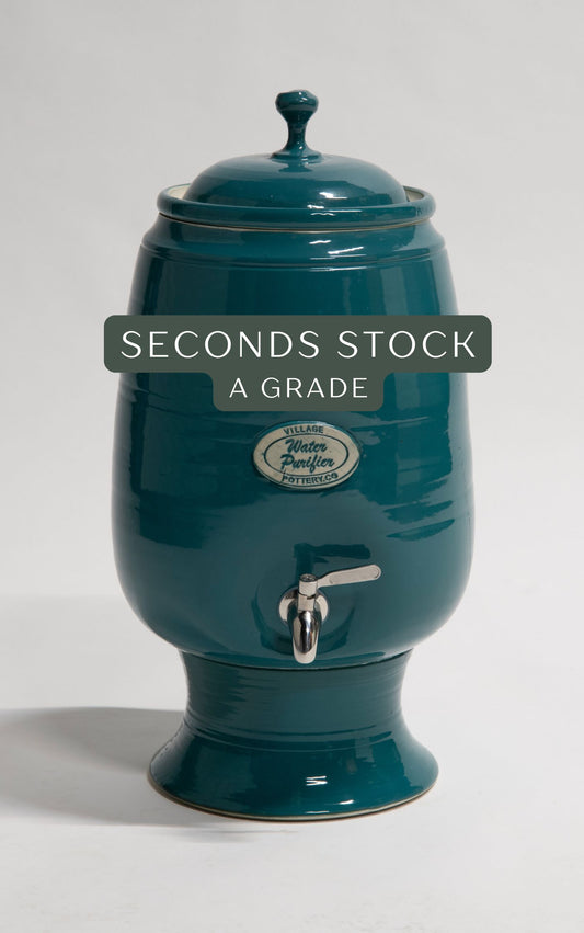 *SECOND* A Grade - Dome Peacock (DPA)