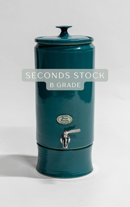 *SECOND* B Grade - Contemporary Peacock (CPB)